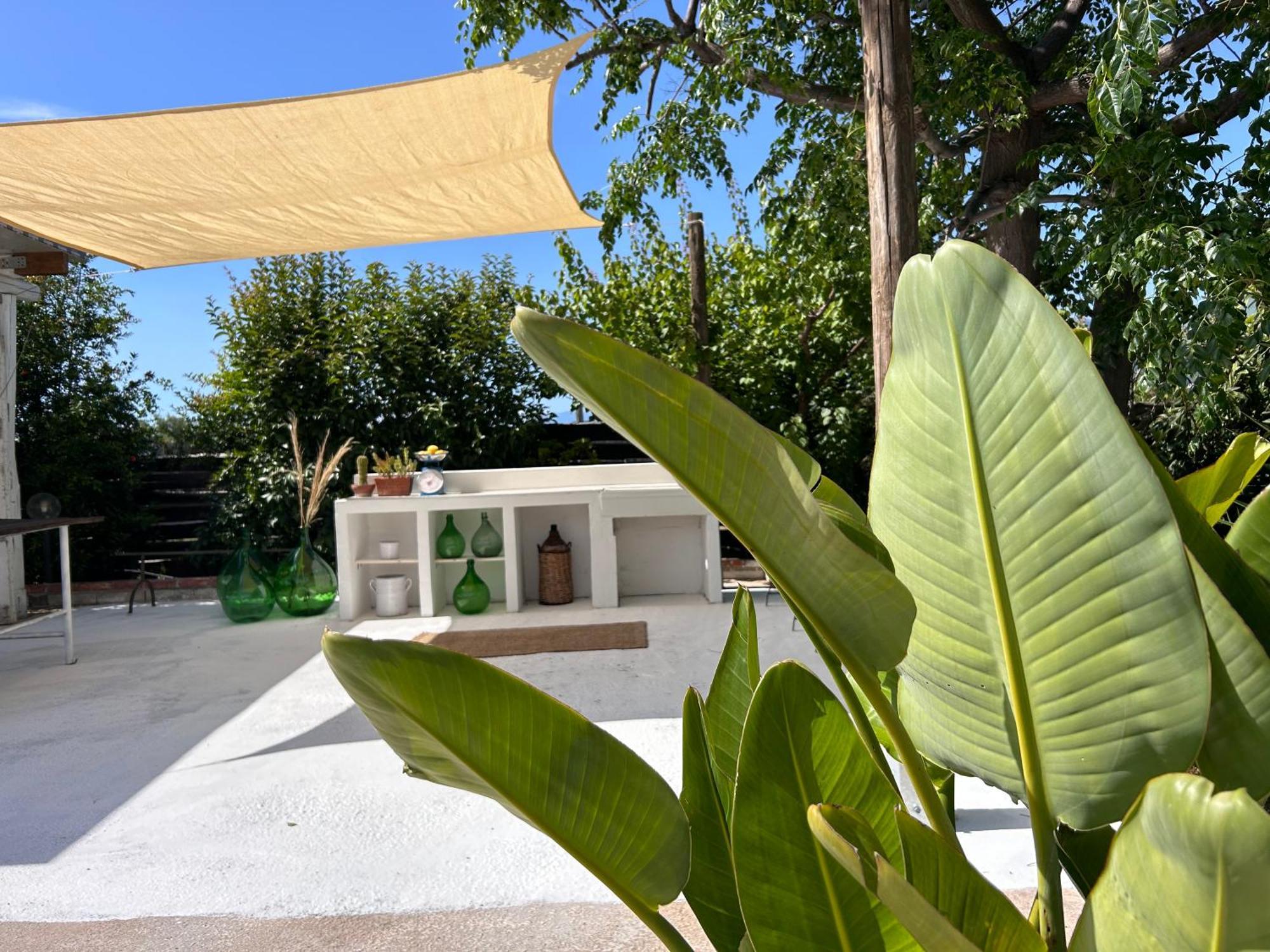 87029House Guest House Scalea Bagian luar foto